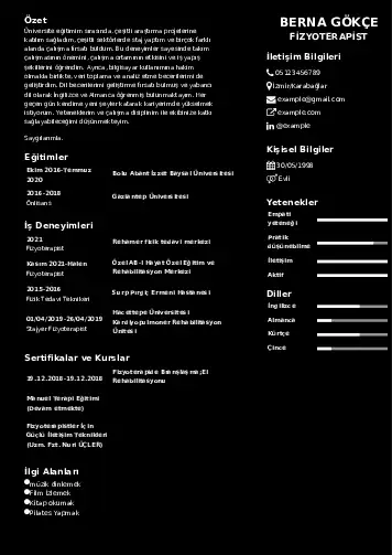 Fizyoterapist Cv Örnekleri cv indir